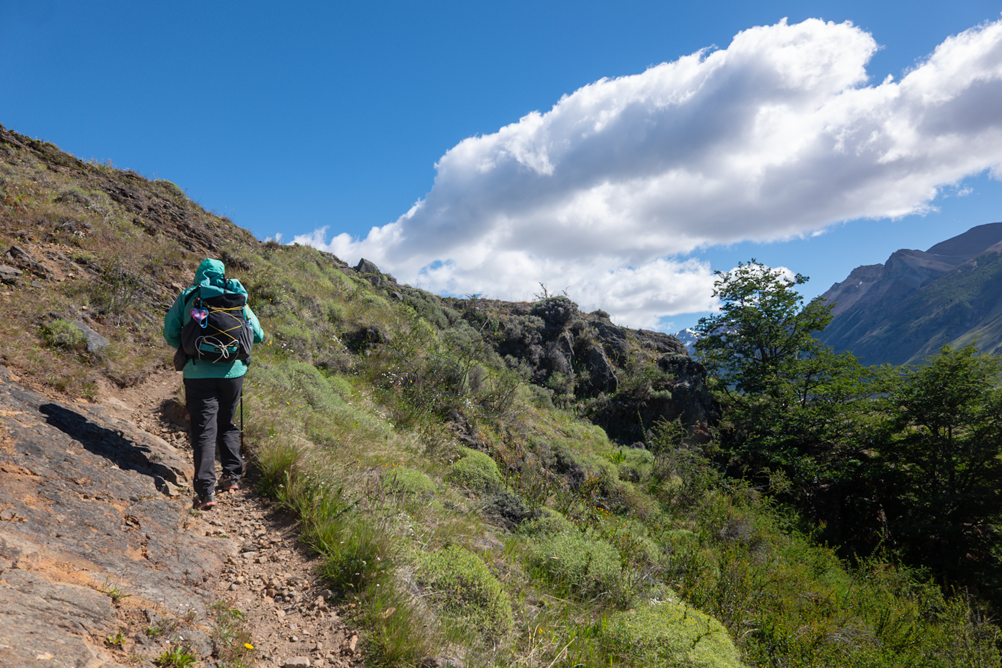 Trail out of the initial forest cut